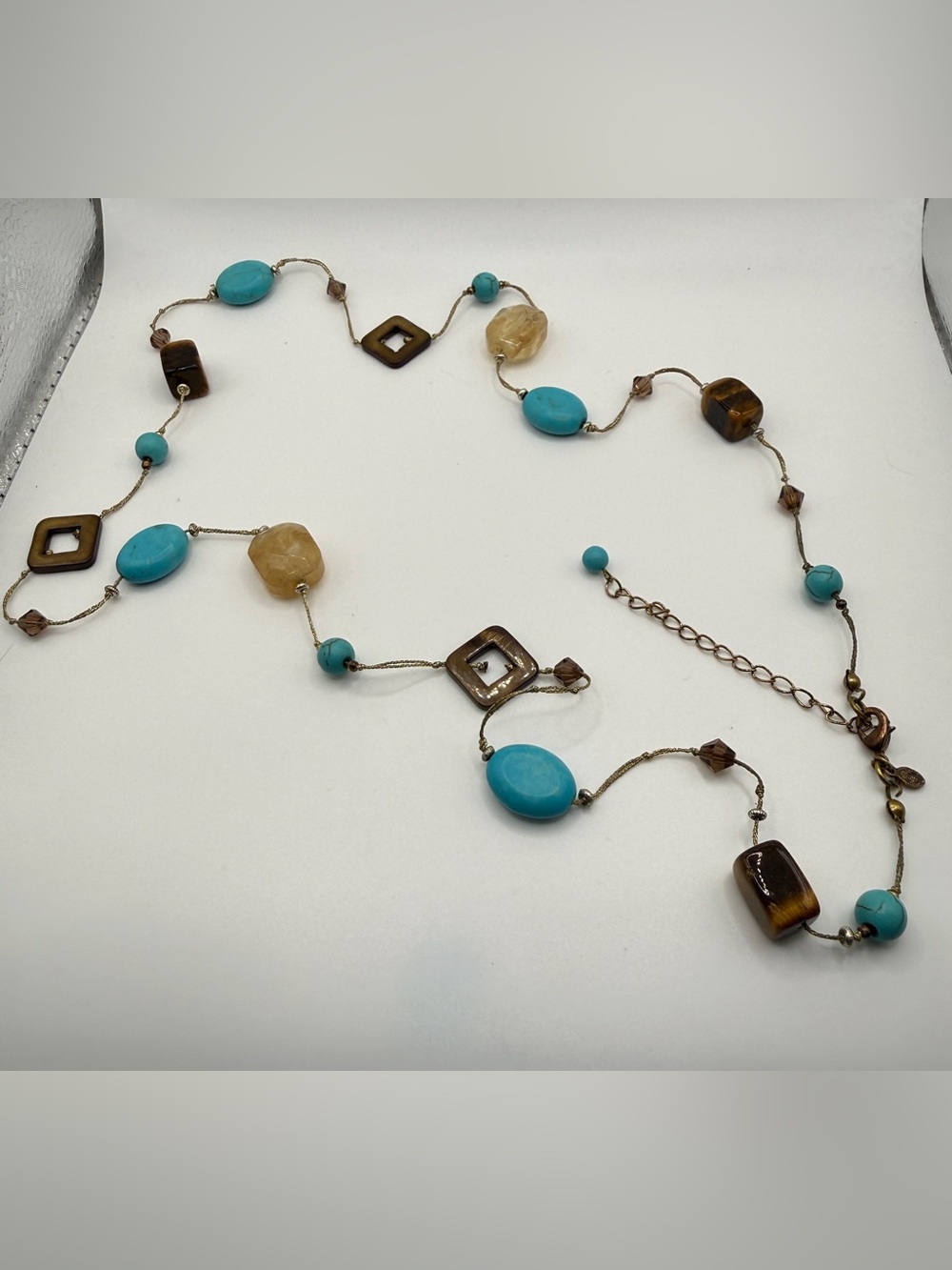 Premier Designs Turquoise & Brown Bead Station Necklace
